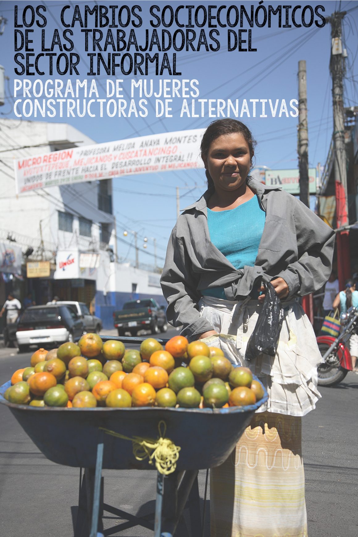 Cambios Socioeconómicos de las Trabajadoras del Sector Informal (2010)