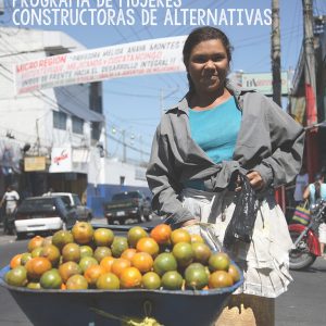Cambios Socioeconómicos de las Trabajadoras del Sector Informal (2010)